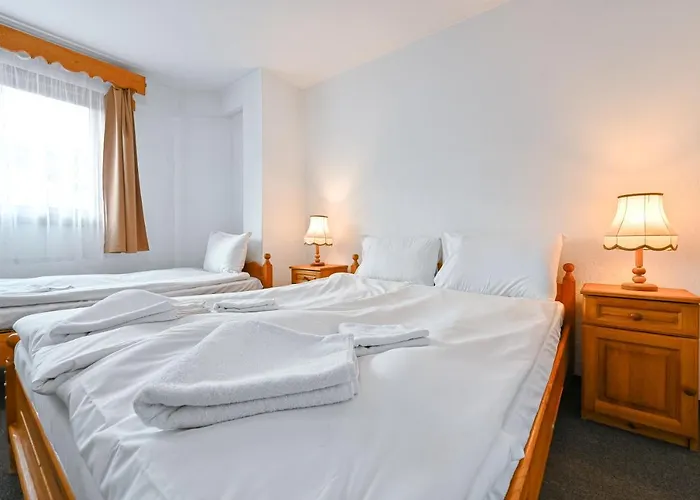 феникс 2* Csepelare